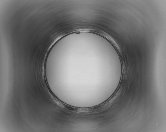 X0000111881194200907231421