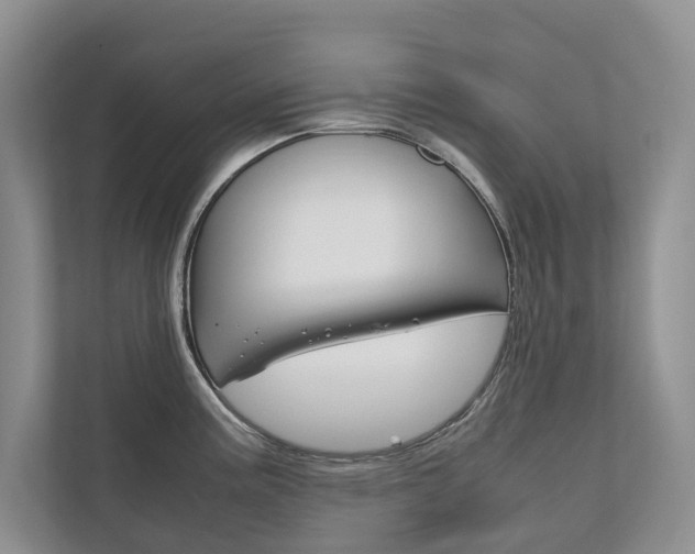 X0000111881195200907231421