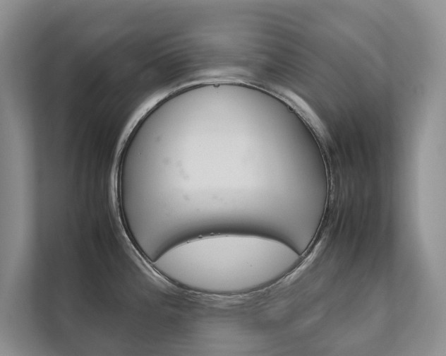 X0000111881196200907231421
