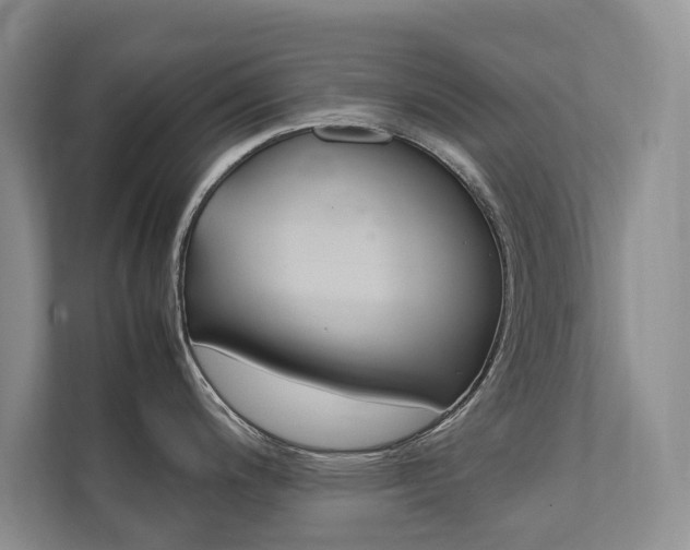 X0000111881200200907231420