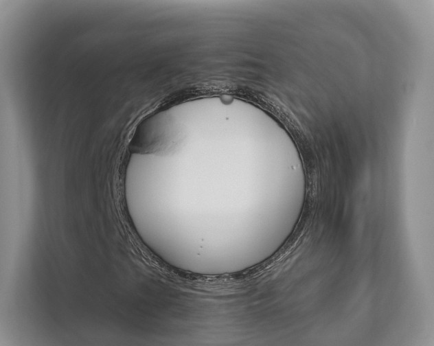 X0000111881201200907231420