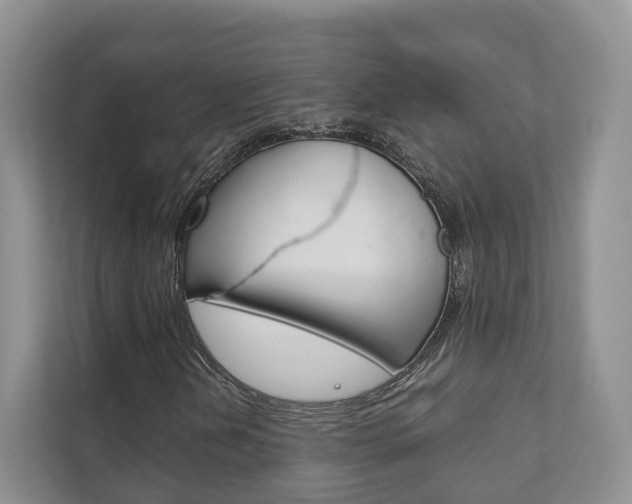 X0000111881202200907231420