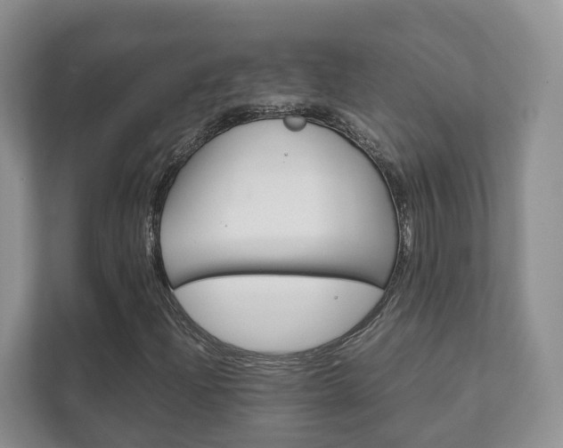X0000111881204200907231420