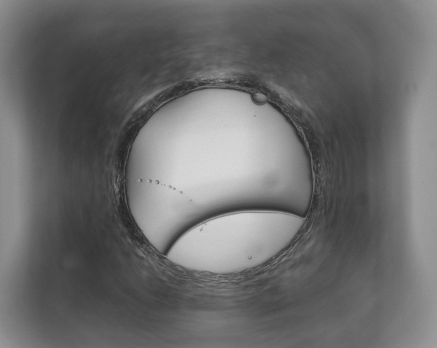 X0000111881206200907231420