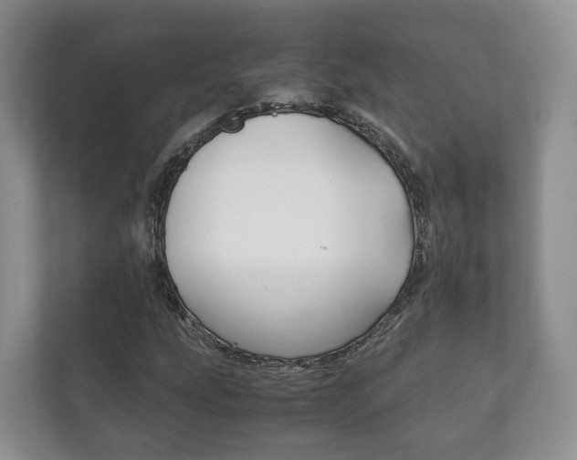X0000111881207200907231420