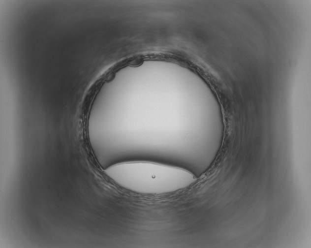 X0000111881208200907231420