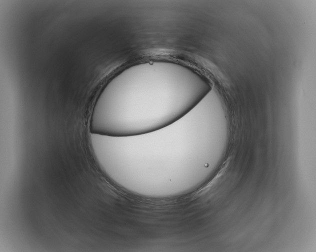 X0000111881209200907231420