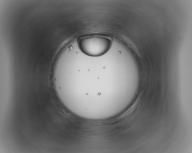 X0000111881210200907231420