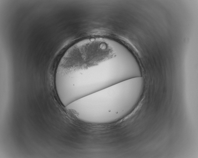 X0000111881211200907231420