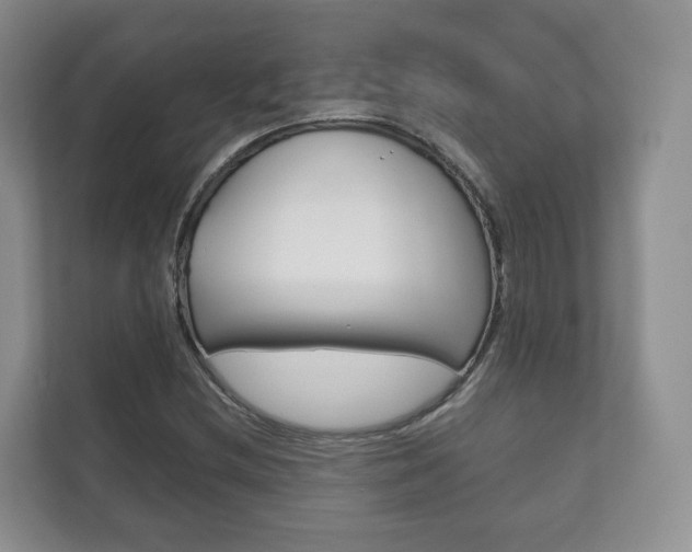 X0000111881212200907231420