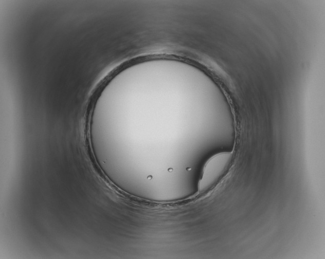 X0000111881216200907231420