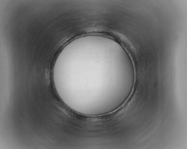 X0000111881217200907231420