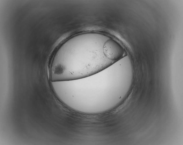 X0000111881221200907231420