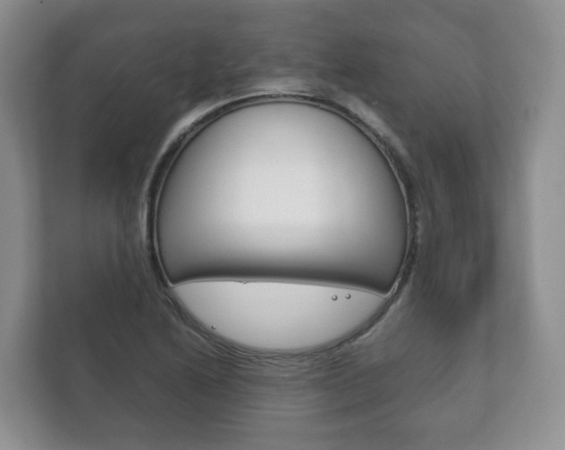 X0000111881222200907231420
