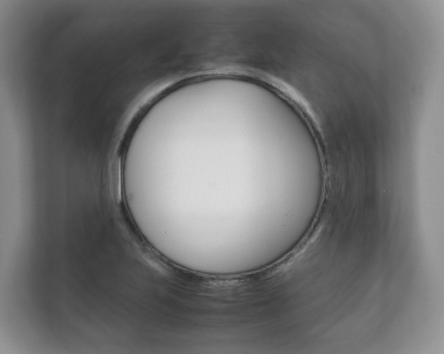 X0000111881223200907231420