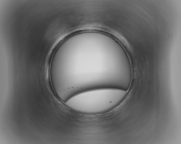 X0000111881224200907231420