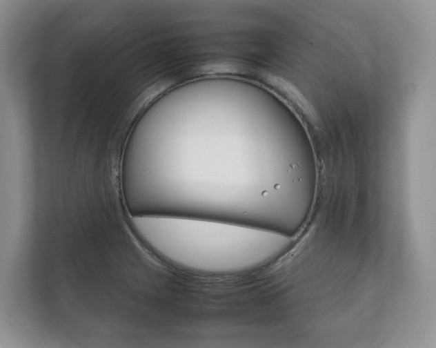 X0000111881225200907231420