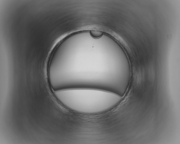 X0000111881230200907231420