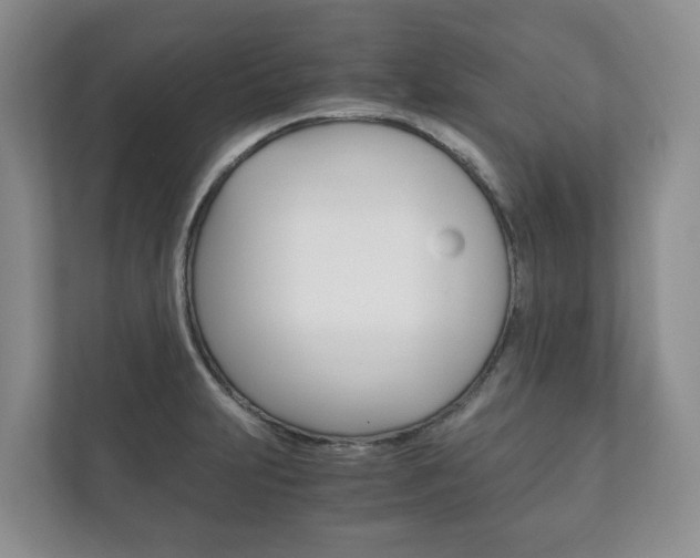 X0000111881231200907231420