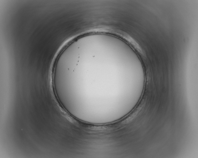 X0000111881232200907231420
