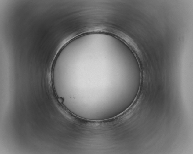 X0000111881234200907231420