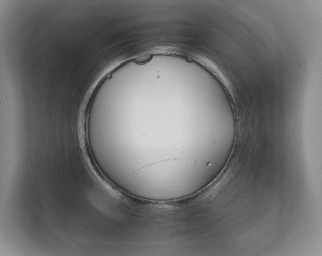 X0000111881235200907231420