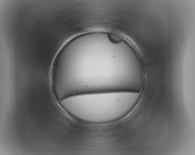 X0000111881236200907231420