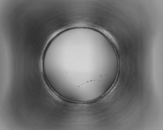 X0000111881238200907231420