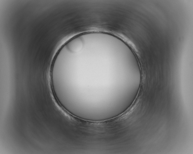 X0000111881239200907231420