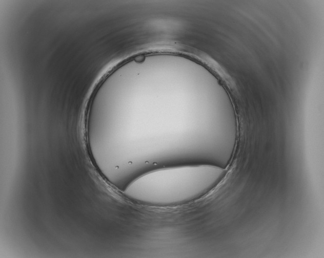 X0000111881240200907231420