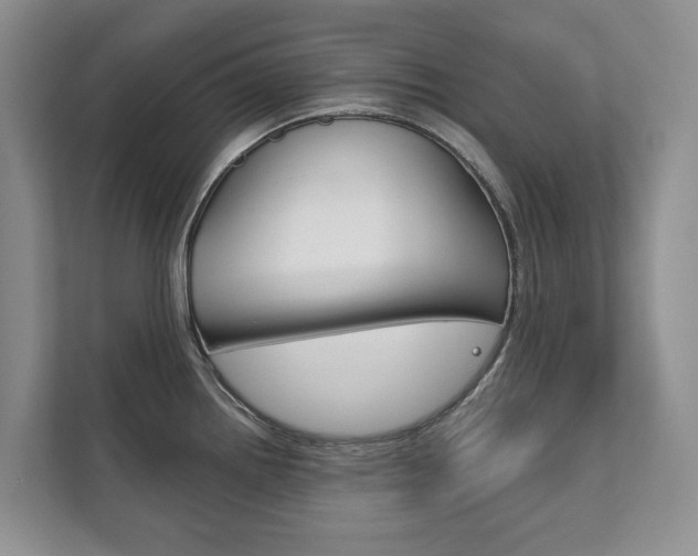 X0000111881242200907231420