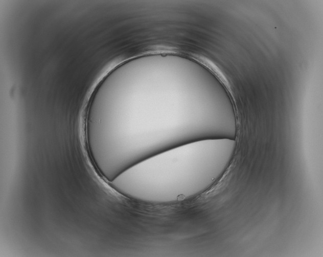 X0000111881243200907231420