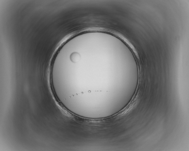 X0000111881245200907231420