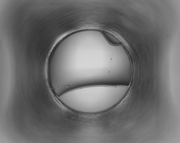 X0000111881246200907231420