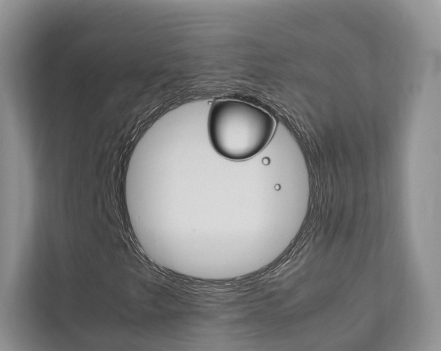 X0000111881249200907231420