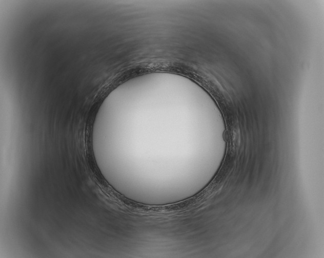 X0000111881250200907231420