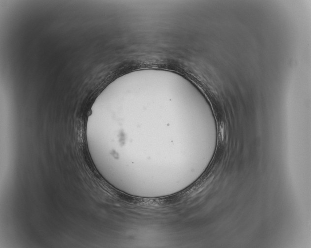 X0000111881251200907231420