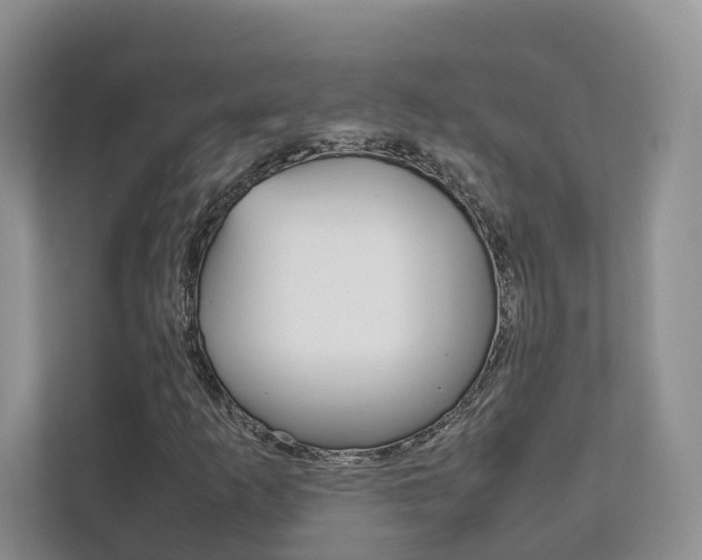 X0000111881253200907231420