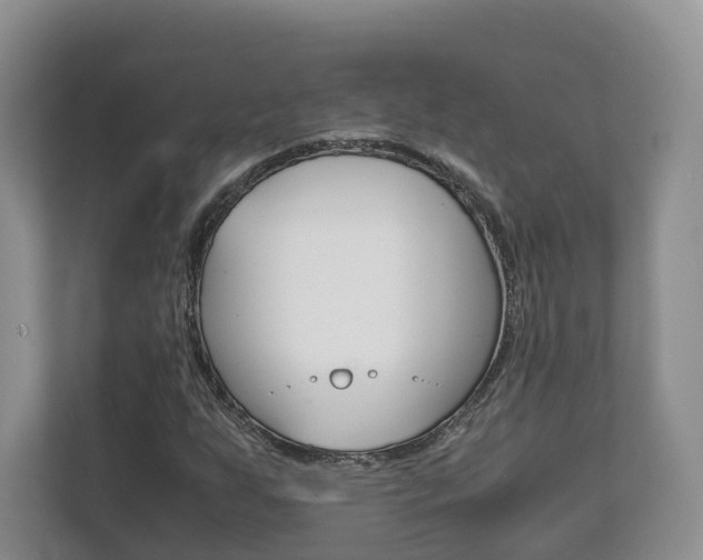 X0000111881255200907231420