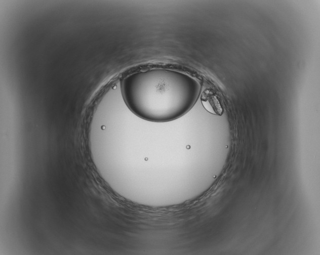 X0000111881256200907231420