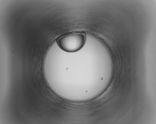 X0000111881257200907231420