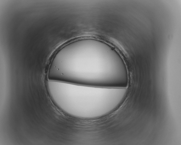 X0000111881260200907231420
