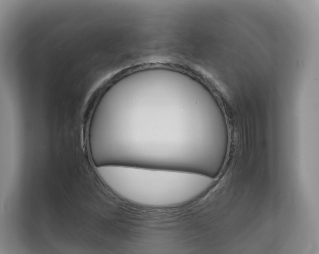 X0000111881262200907231420