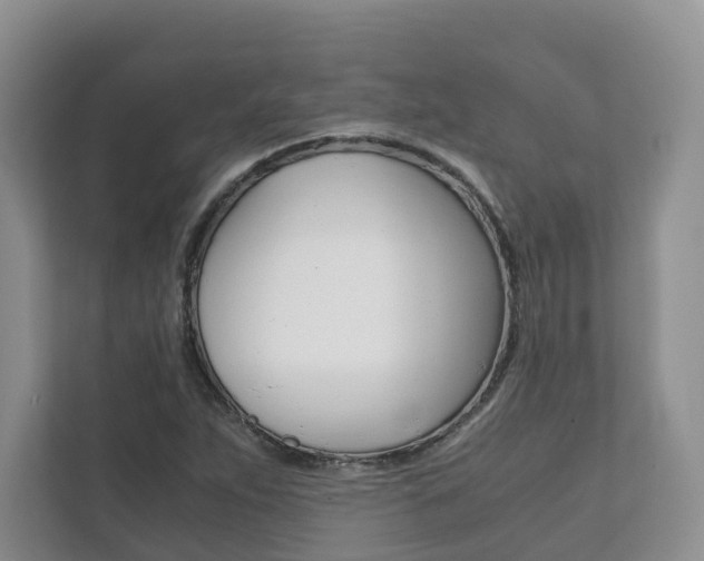 X0000111881263200907231420