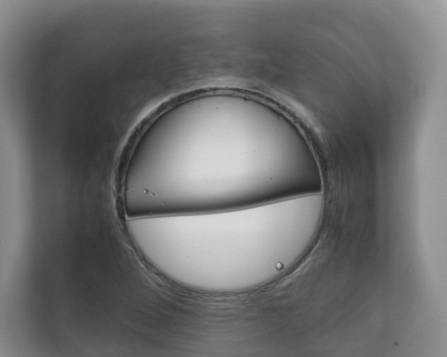 X0000111881264200907231420