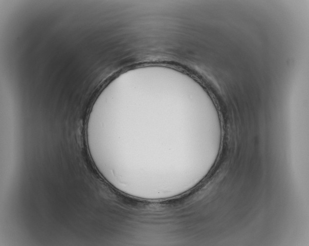 X0000111881265200907231420