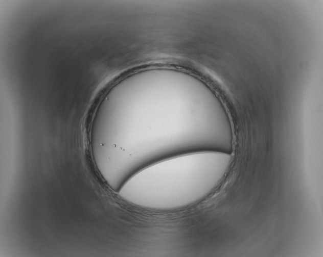 X0000111881267200907231420