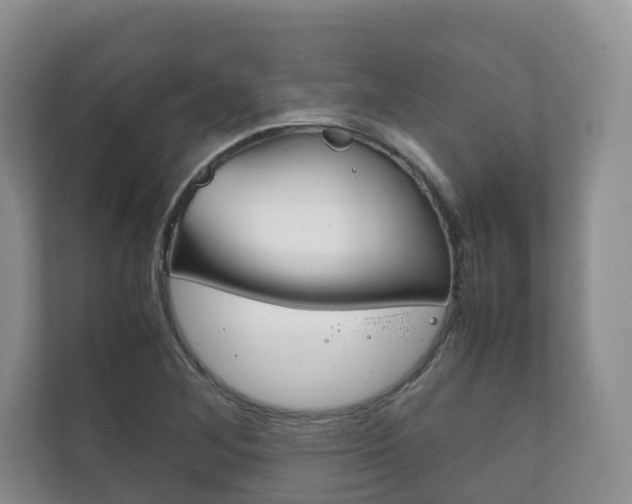 X0000111881268200907231420