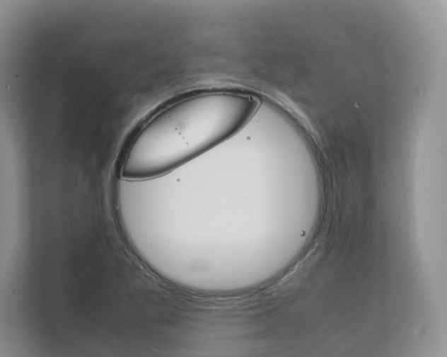 X0000111881269200907231420