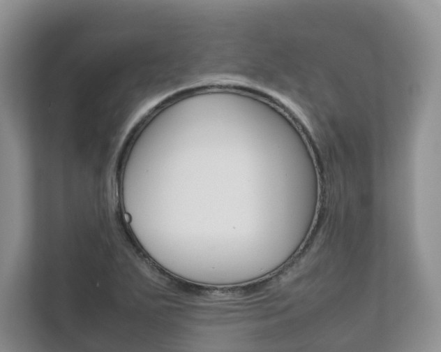 X0000111881271200907231420